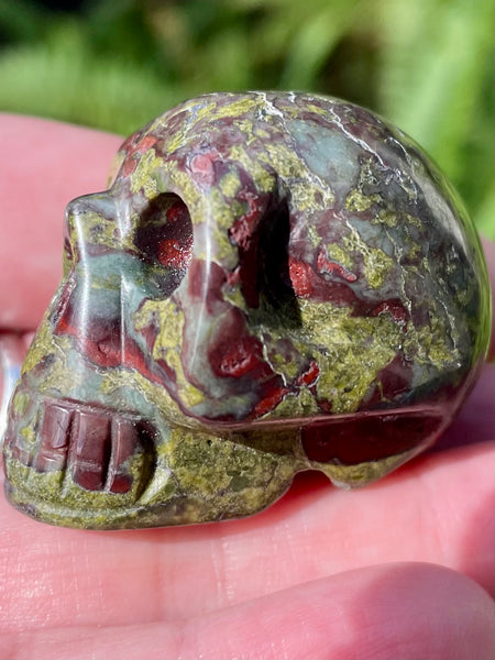 Carved Dragon Bloodstone Skull - Morganna’s Treasures 