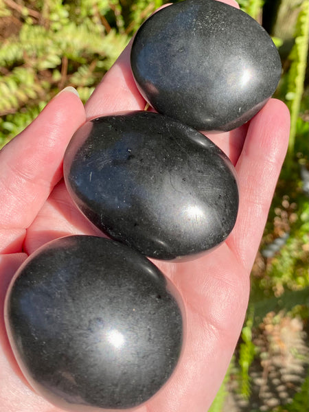 Medium Black Tourmaline Palm Stones - Morganna’s Treasures 