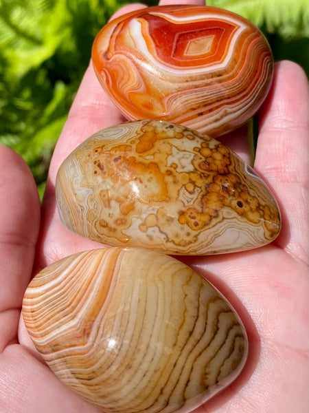 Small Sardonyx Palm Stones - Morganna’s Treasures 