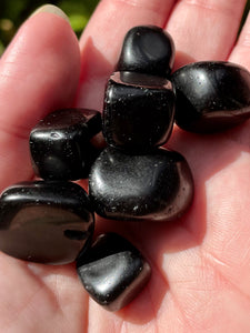 Black Obsidian Tumbled Stones - Morganna’s Treasures 