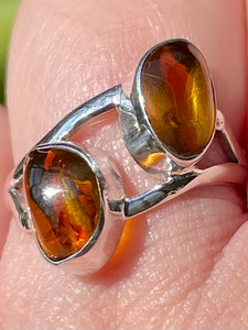 Baltic Amber Ring Size 7.5 - Morganna’s Treasures 