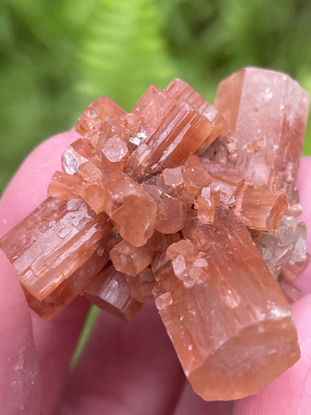 Star Aragonite from Morocco - Morganna’s Treasures 