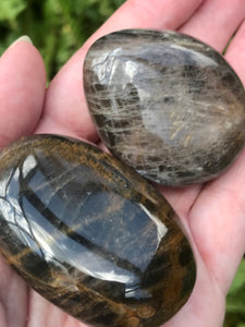 Medium Larvikite (Black Moonstone) Palm Stone - Morganna’s Treasures 