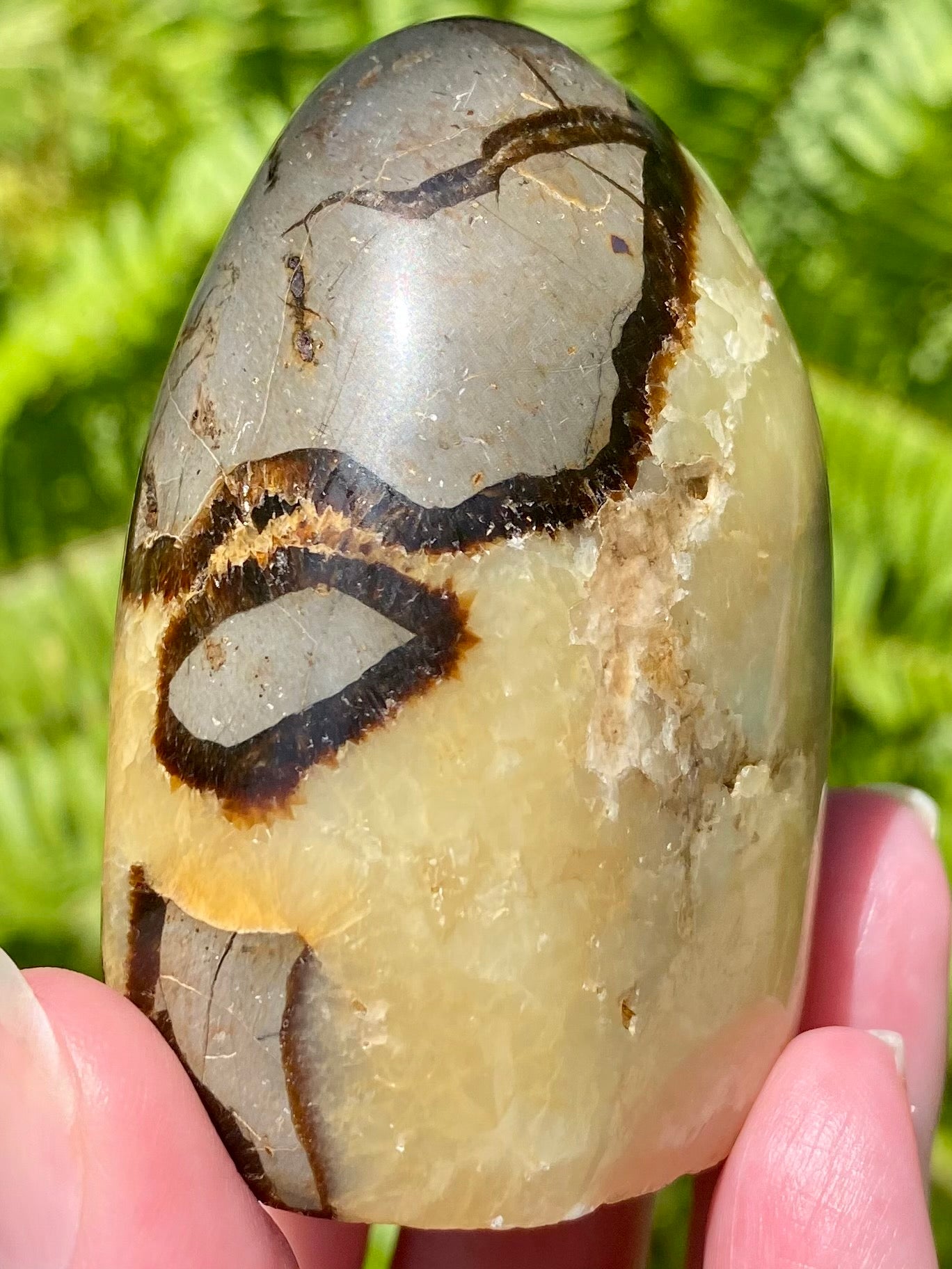 Septarian (Dragon’s Stone) Crystal Freeform - Morganna’s Treasures 