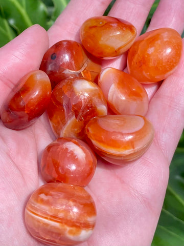 High Quality Carnelian Tumbled Stones - Morganna’s Treasures 