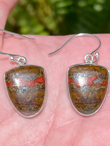 Red Seam Agate Earrings - Morganna’s Treasures 