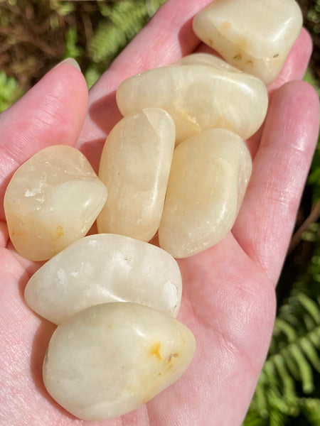 Honey Calcite Tumbled Stones - Morganna’s Treasures 
