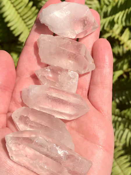 Clear Quartz Crystal Points - Morganna’s Treasures 