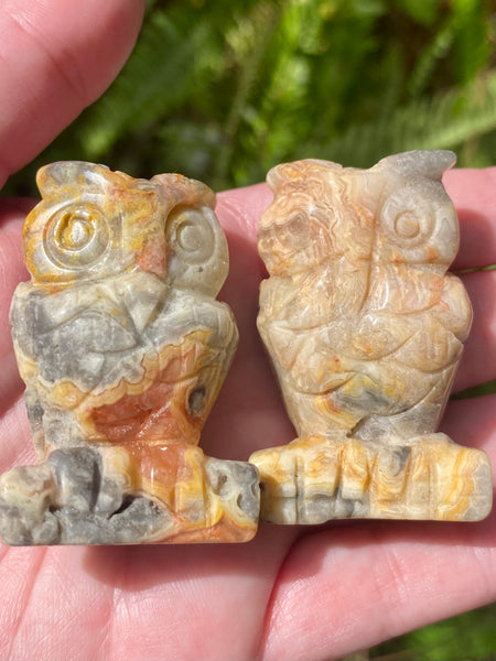 Crazy Lace Agate Owl - Morganna’s Treasures 