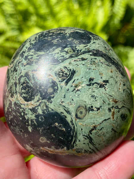 Large Kambaba Jasper Palm Stone - Morganna’s Treasures 