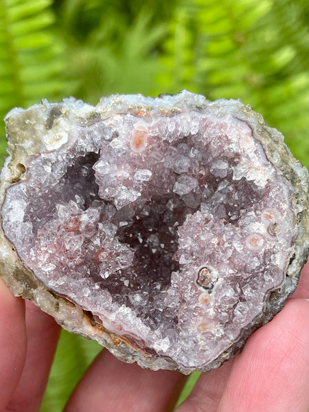 Tangerine Amethyst Geode from Morocco - Morganna’s Treasures 