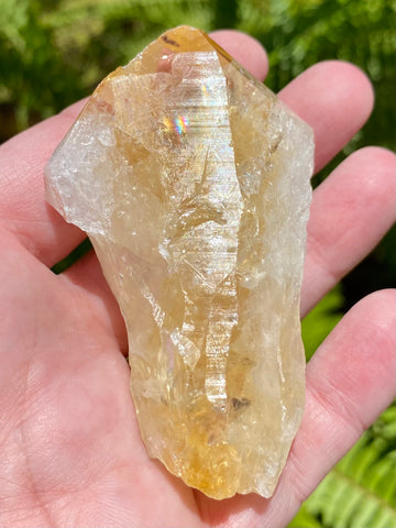 Rough Citrine Crystal - Morganna’s Treasures 