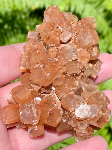 Aragonite from Morocco - Morganna’s Treasures 