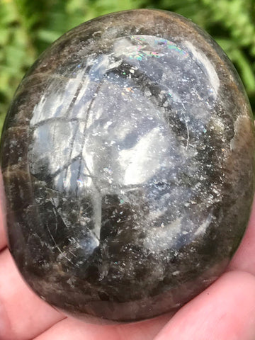 Large Larvikite (Black Moonstone) Palm Stone - Morganna’s Treasures 