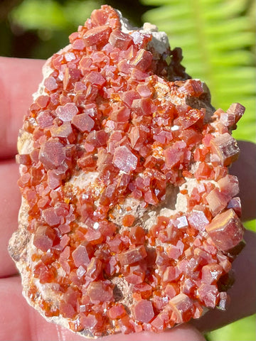 Vanadinite on Psilomelane Crystal Cluster - Morganna’s Treasures 