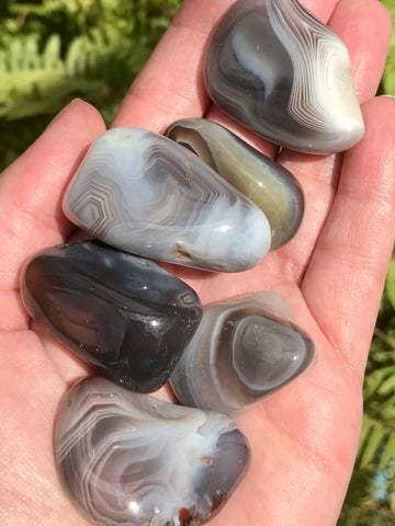 Large Botswana Agate Tumbled Stones - Morganna’s Treasures 