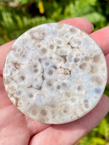 Small Flower Agate Charging Plate - Morganna’s Treasures 