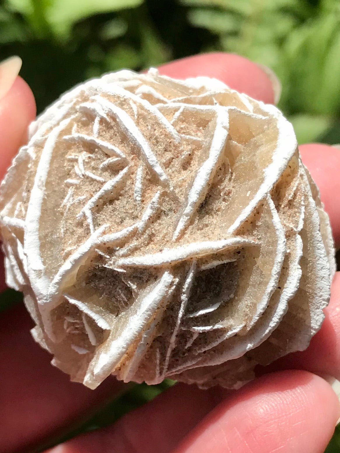 Large Selenite Desert Rose Stone - Morganna’s Treasures 