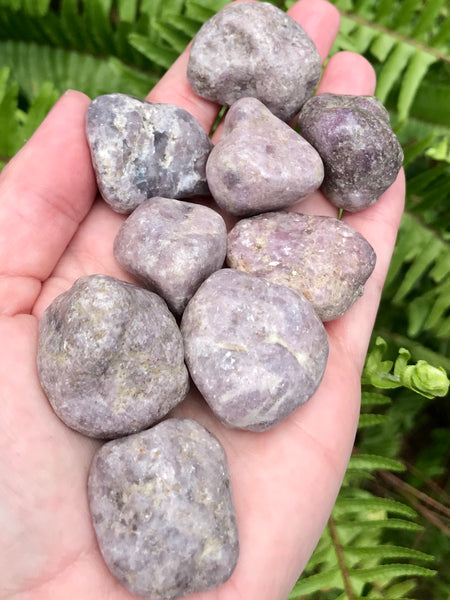 Lepidolite Tumbled Stones from Brazil - Morganna’s Treasures 
