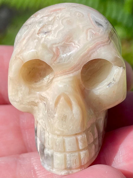 Carved Crazy Lace Agate Skull - Morganna’s Treasures 