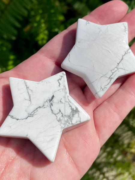 Howlite Star Palm Stones - Morganna’s Treasures 