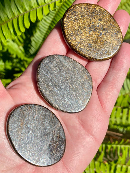 Bronzite Palm Stone - Morganna’s Treasures 