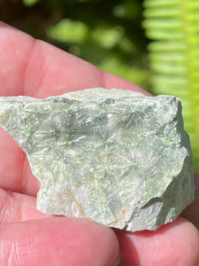 Wavellite Palm Stone - Morganna’s Treasures 