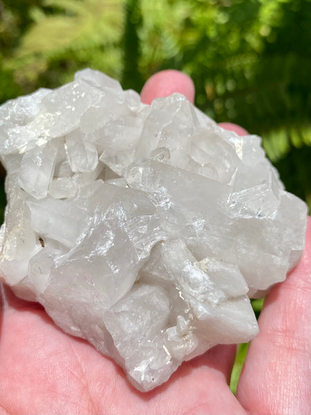 Clear Quartz Crystal Cluster - Morganna’s Treasures 