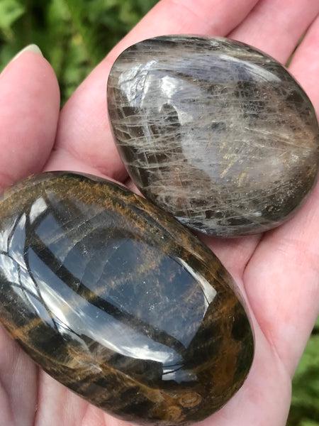 Medium Larvikite (Black Moonstone) Palm Stone - Morganna’s Treasures 