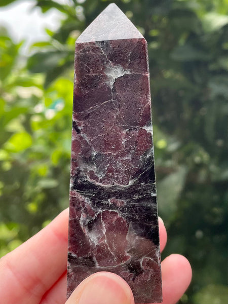 Large Garnet in Astrophyllite Obelisk - Morganna’s Treasures 