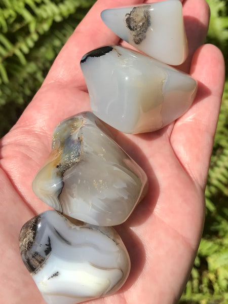 Tumbled Merlinite Stones - Morganna’s Treasures 