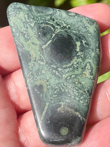 Kambaba Jasper Palm Stone - Morganna’s Treasures 