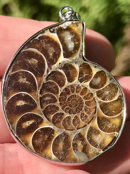 Ammonite Pendant - Morganna’s Treasures 