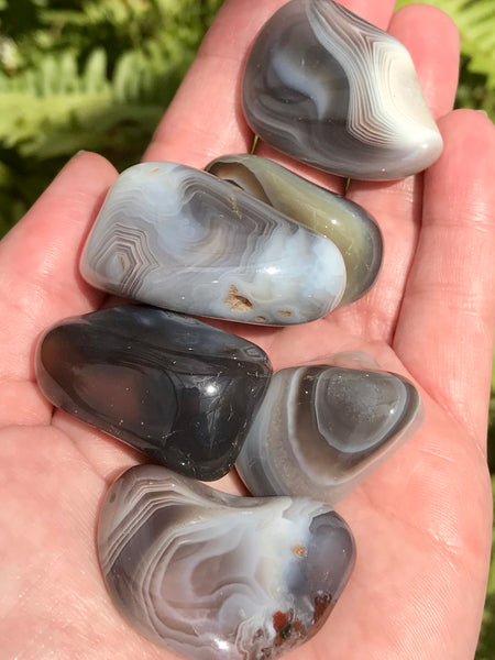 Large Botswana Agate Tumbled Stones - Morganna’s Treasures 