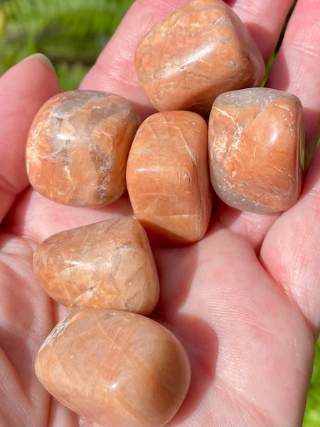 Peach Moonstone Tumbled Stones - Morganna’s Treasures 