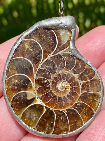 Ammonite Pendant - Morganna’s Treasures 