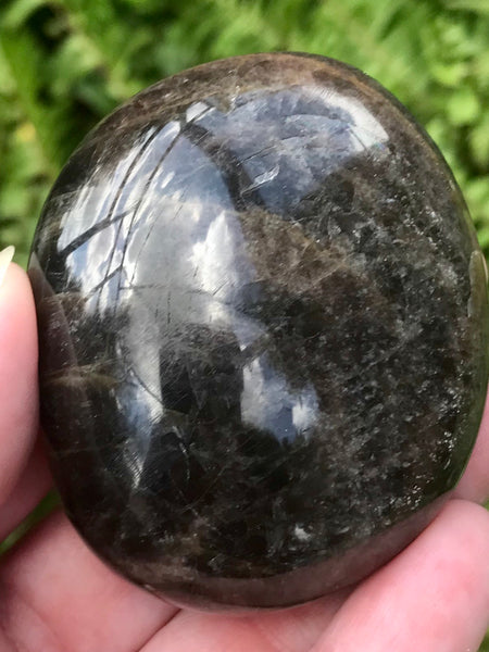 Large Larvikite (Black Moonstone) Palm Stone - Morganna’s Treasures 