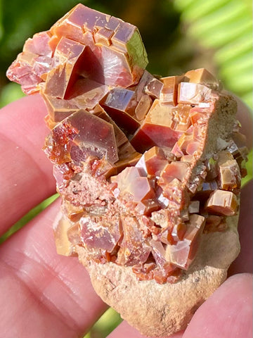 Vanadinite on Psilomelane Crystal Cluster - Morganna’s Treasures 