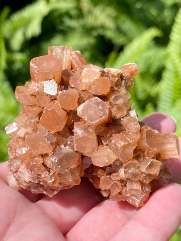 Aragonite from Morocco - Morganna’s Treasures 