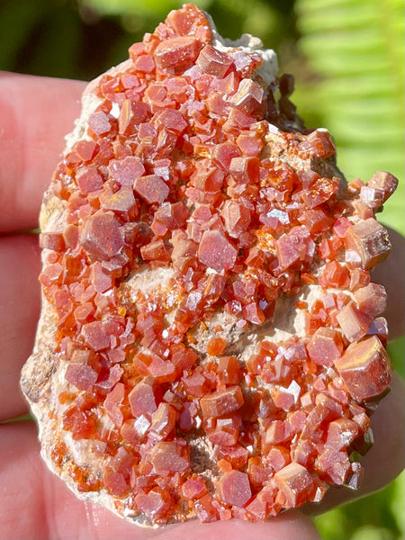 Vanadinite on Psilomelane Crystal Cluster - Morganna’s Treasures 