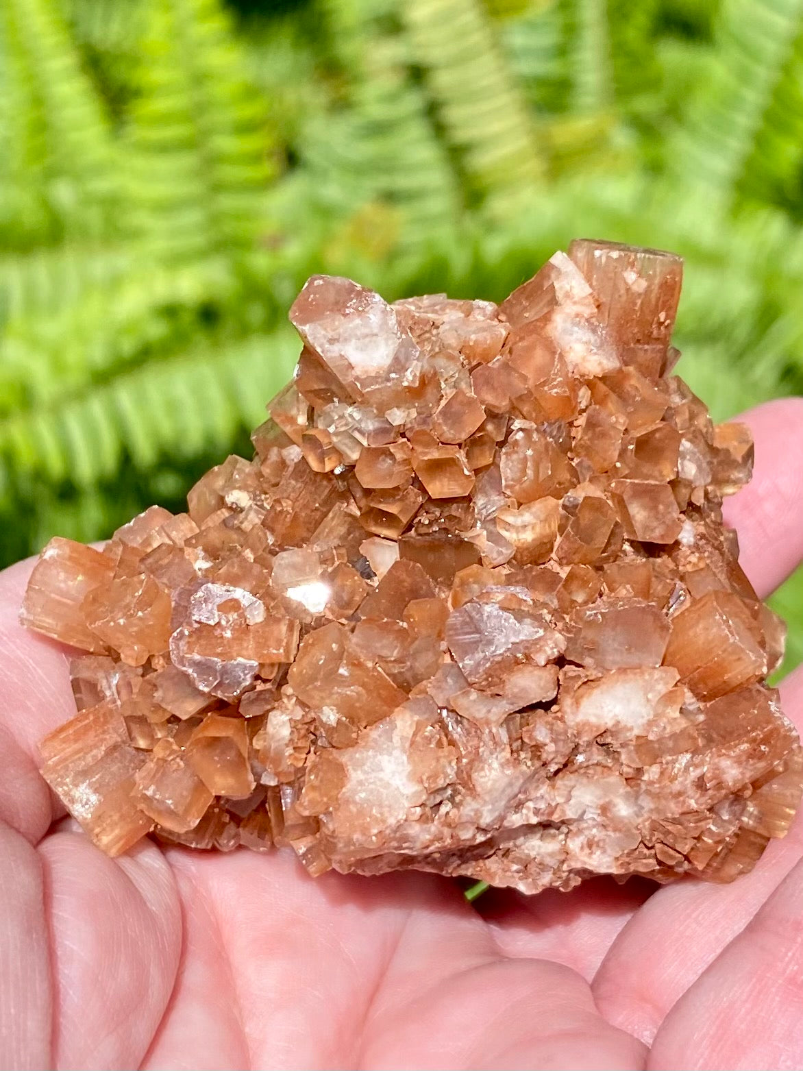 Aragonite from Morocco - Morganna’s Treasures 