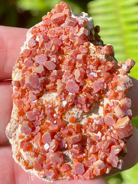 Vanadinite on Psilomelane Crystal Cluster - Morganna’s Treasures 