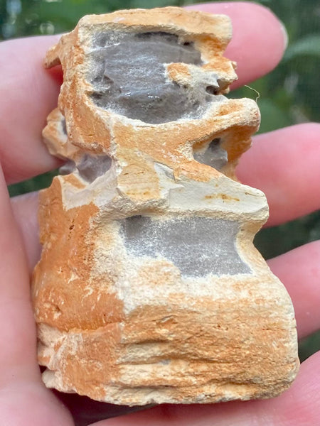 Sculpture Rock from New Mexico - Morganna’s Treasures 