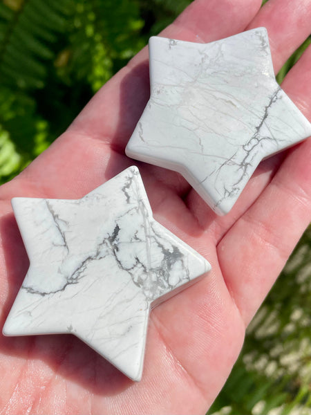 Howlite Star Palm Stones - Morganna’s Treasures 