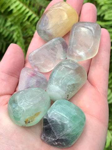 Large Fluorite Tumbled Stones - Morganna’s Treasures 