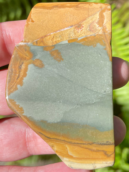 Picture Jasper Palm Stone - Morganna’s Treasures 