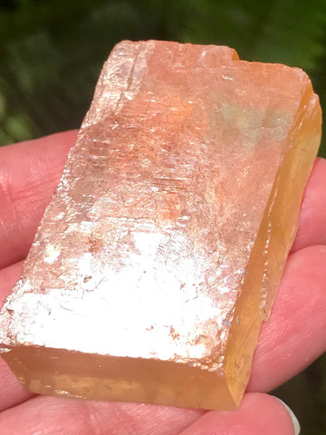 Golden Optical Calcite - Viking Stone - Palm Stone - Morganna’s Treasures 