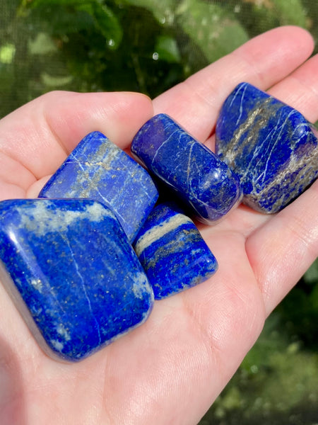 Large High Quality Lapis Lazuli Tumbled Stones - Morganna’s Treasures 