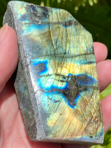 Gorgeous Labradorite Slab - Morganna’s Treasures 