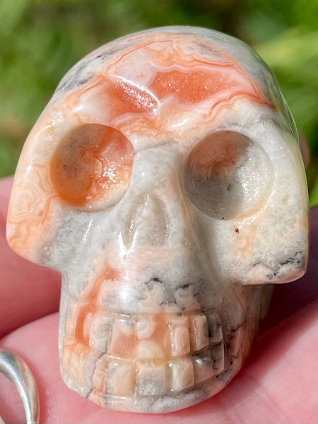 Carved Crazy Lace Agate Skull - Morganna’s Treasures 